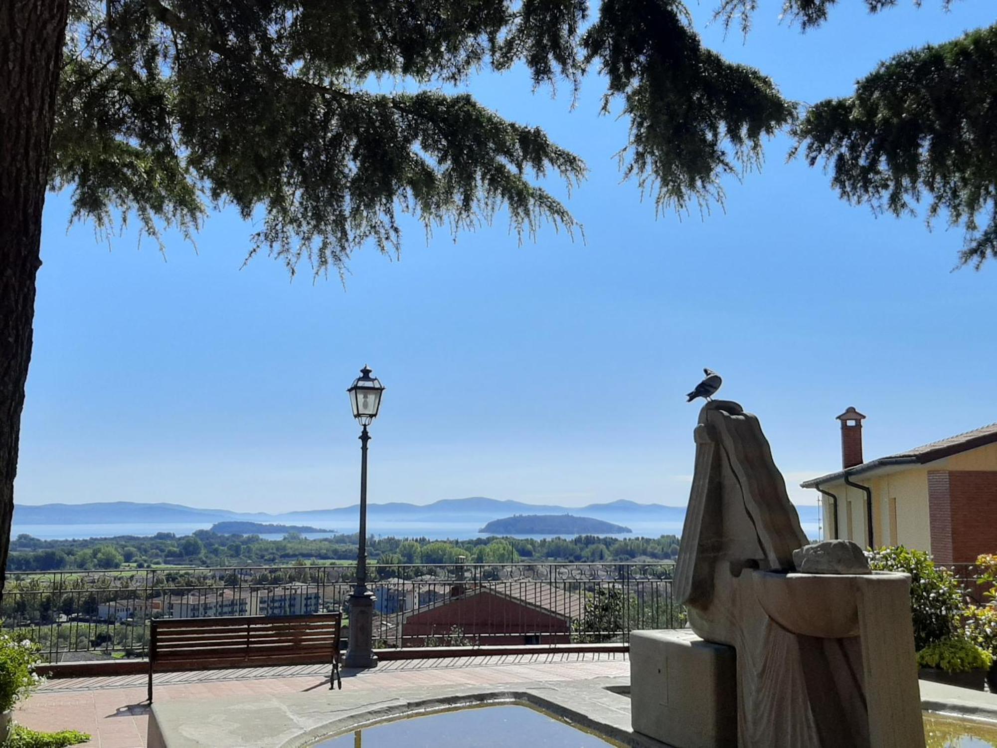 Antico Olivo Apartamento Tuoro sul Trasimeno Exterior foto
