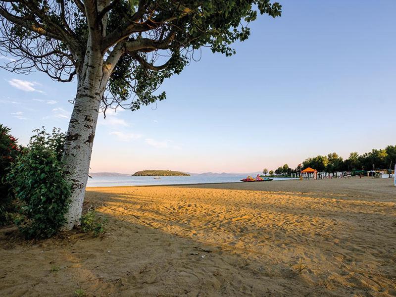 Antico Olivo Apartamento Tuoro sul Trasimeno Exterior foto